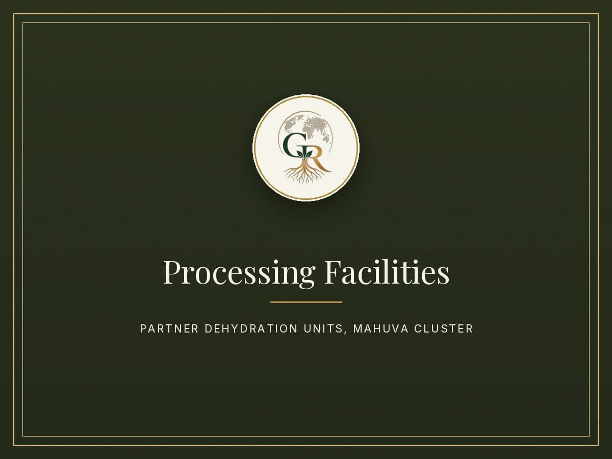 Processing Facilities